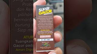 Download lagu Super gacor vitamins are said to be for birds that are stuck singing mp3