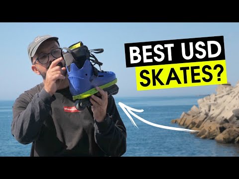 USD SWAY CARLOS BERNAL PRO MODEL REVIEW