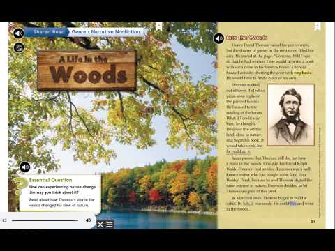 A life in the woods HIGH