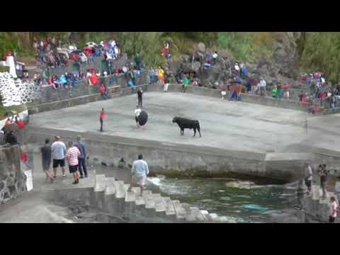 Tourada Porto de pesca Vila Nova 2018