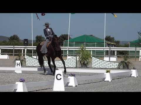 Prova Ensino de Nicole Silva com Endiabrado