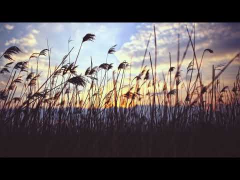 Epitafium - Trzcina - Andrzej Kaliszczyk