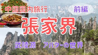 【張家界】アバターの舞台と世界一高い屋外エレベーターのある武陵源 大自然が生み出す絶景【中国国内旅行】