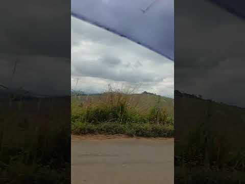 estrada entre Matipo e Padre Fialho ! Minas Gerais