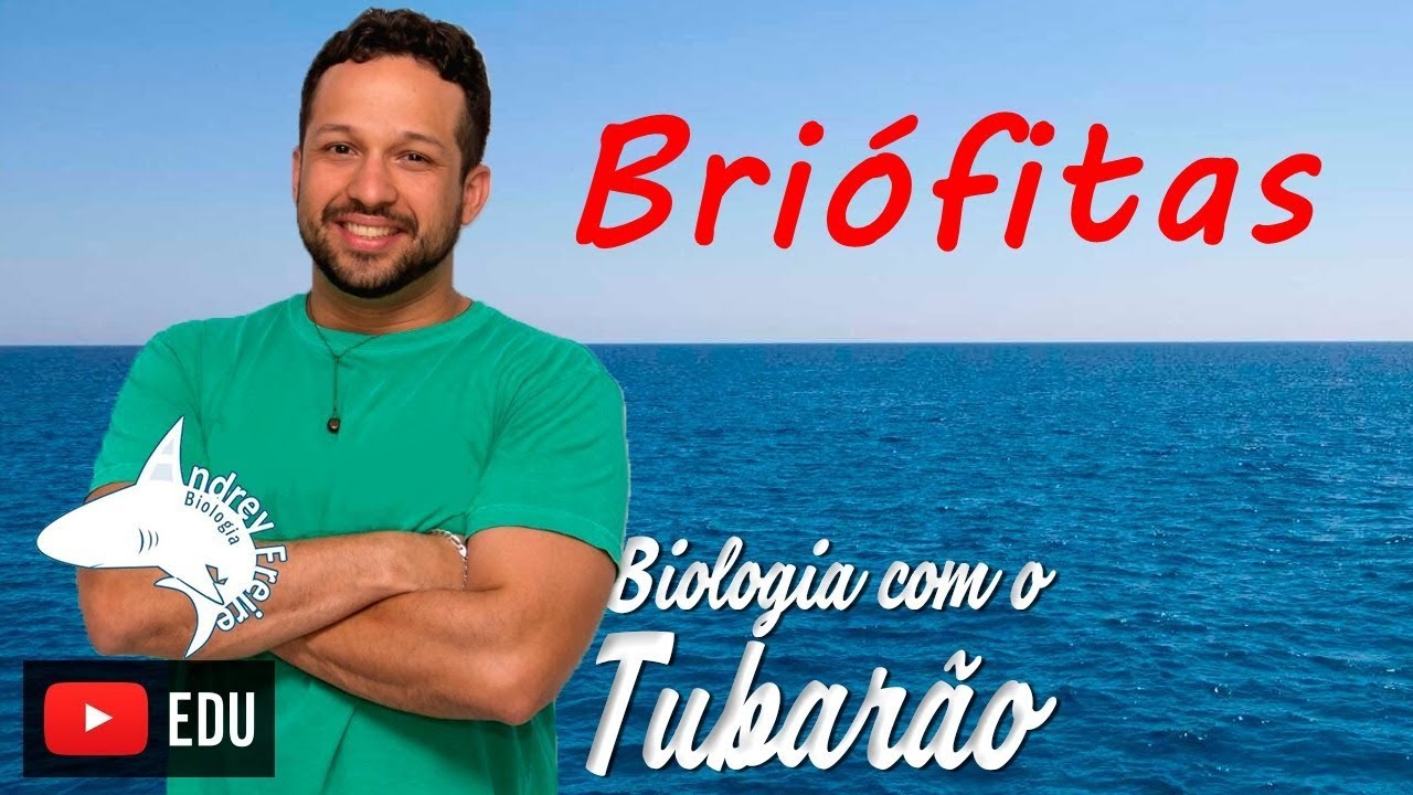 Briófitas - Botânica - Biologia com o Tubarão