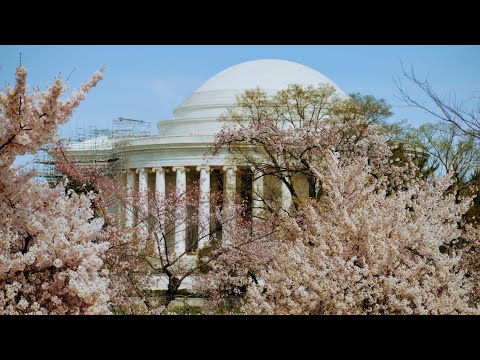 Washington DC Tourist Attraction|| ওয়াশিংটন ডিসি|| #BanglaVlog ||World of Sharmistha