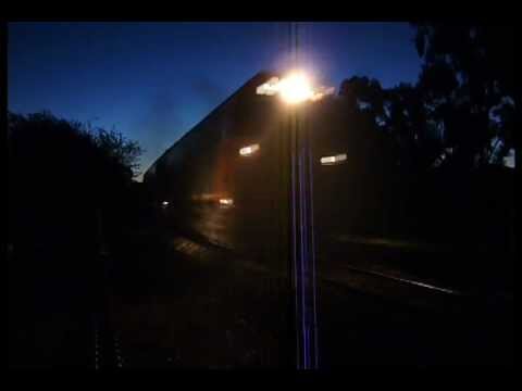 BL32 & G525 on the Piangil Grain (horn shows)