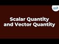 Scalar Quantity And Vector Quantity Physics Infinity Learn