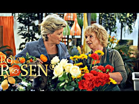 Red Roses 🌹 Episode 1598