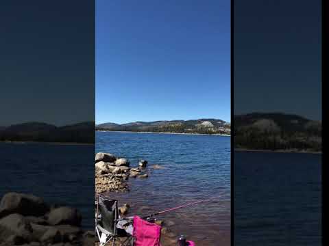 Walked along lake to grassy beach to fish. Only saw a few groups of people–felt like we had most of the lake to ourselves.