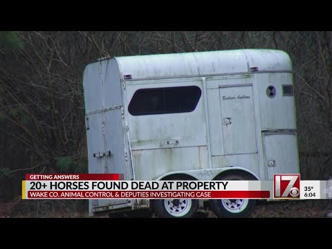 Tests underway to find out how 21 horses died in Wake County
