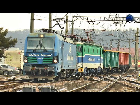 Trenuri în Gara Beclean pe Someș 🚊🚅🚊 Trains in Beclea pe Someș Station - 15 January 2025