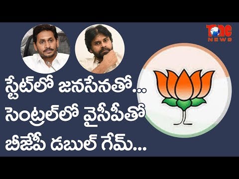 Whom Is BJP Friends With? Janasena Or YCP? | NewsOne Telugu