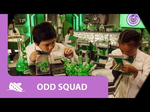 Video trailer för Odd Squad Show Opening