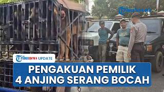 Pemilik 4 Anjing Pemburu yang Serang Bocah di Bogor Tersangka, Akui Sengaja Lepas Peliharaan