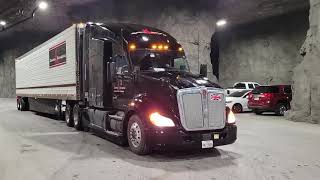 —u/Imactuallyadogg