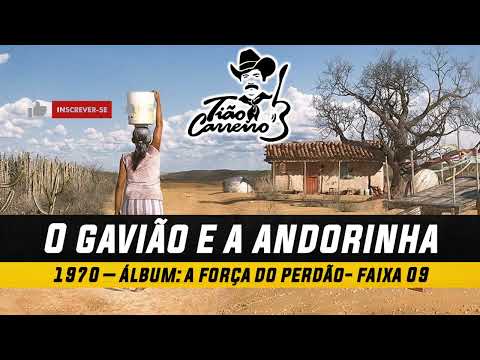 O gavião e a andorinha - Tião Carreiro & Pardinho