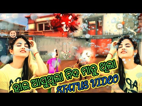 Hai Asuthila Nida Madu Thila//Odia Free Fire Status// #haiasuthila_nidamadutjila