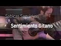 Sentimiento Gitano (Seguiriyas) Maestro Sabicas | Paco Hallak