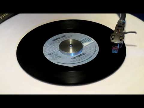 The Turtles - "Surfer Dan" 1968 MONO