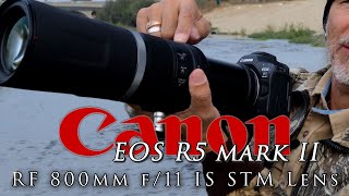 Canon R5 MK II with the 800mm lens at the LA River - love the lens, not crazy about the body