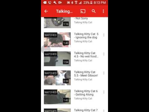 Please!? Reaction to talking kitty cat 4.5 no wet food for a week