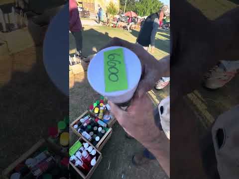 Caminata en la feria de la pulga loca Huerta grande Córdoba 