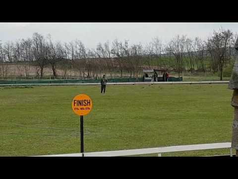 Isaszeg Park agárverseny 2017. 04. 22. Dopping Bonie Tyler