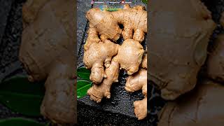 Download lagu Makanan yang Banyak Manfaatnya untuk Pria mp3 Download lagu Makanan yang Banyak Manfaatnya untuk Pria mp3