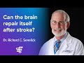 Can The Brain Repair Itself After Stroke Encompass Health