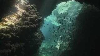 The Cartagena Protocol on Biosafety (English)