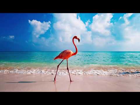 DELUXE LOUNGE AMBIENT HOUSE MUSIC - Wonderful Long Playlist for Relaxing Chill Music