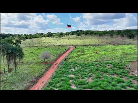 Sitio Disponível para venda com 14,75  alqueires (71,17 hectares) em Professor Jamil - Go