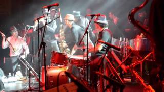 Melbourne Ska Orchestra THE DIPLOMAT TOUR trailer