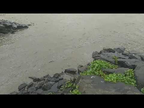 High Tide @Mahim Beach,Palghar Live