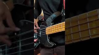 Bass cover - Our Last Night (Beggin)  from MANESKI