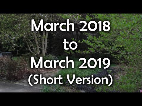 Time Lapse of an Outdoor Garden Over One Year (March 2018 to 2019 - Short Version)
