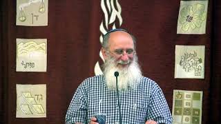 שיעור של הרב שרקי בישיבת בין הזמנים של ישלצ | צער החורבן, על מה?