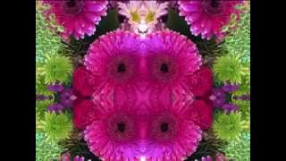 Sweet Old World (by Emmylou Harris w/The Daniel Lanois Band live in London in &#39;95)