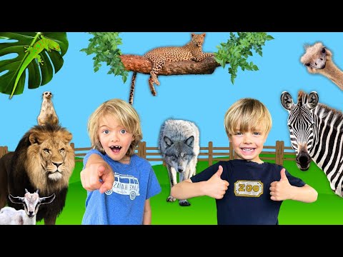 Zoo Adventure: Animal Encounters & Fun! | Animal Stories with Sky and Finn