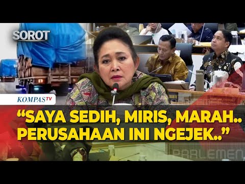 Angry! Titiek Soeharto Faces Forestry Minister: Two Days After Flood, Logging Trucks Pass, Compan...