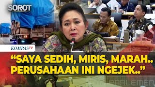 Download lagu Marah! Titiek Soeharto Depan Menhut: 2 Hari Pasca Banjir, Truk Kayu Lewat Jalan, Perusahaan Ngejek! mp3 Download lagu Marah! Titiek Soeharto Depan Menhut: 2 Hari Pasca Banjir, Truk Kayu Lewat Jalan, Perusahaan Ngejek! mp3