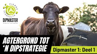 Dipmaster 1: (Deel 1) Agtergrond tot ‘n dipstrategie.