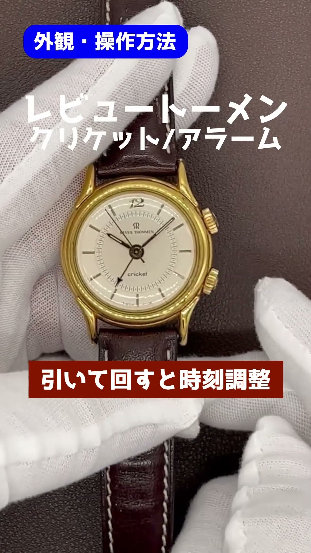 HA-7151| レビュー・トーメン クリケット Ref.7922001 GF/SS
