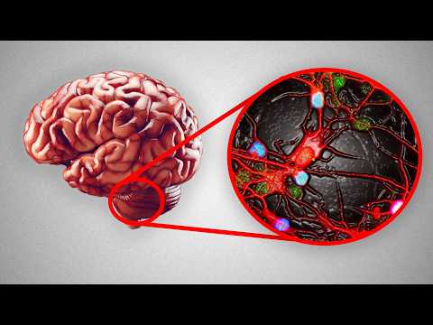 Why Antidepressant Withdrawal Is So Unbearable