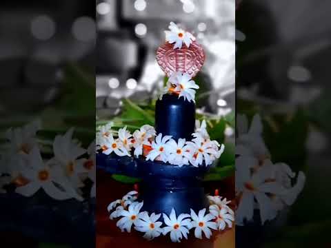 Why should we worship God with fallen Parijat flowers? #parijat #flowers #plants #shorts #like