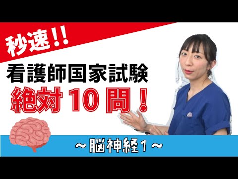 看護学科 【秒速ナース】脳神経1【国試対策-授業動画】