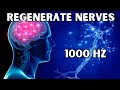 Brain Healing Frequency | Restore Cerebral Neurons & Regenerate Nerves | 1000 Hz