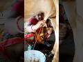 Cow Milking Mini Vlog Cow Shorts