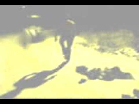 Dzicy we wsi -  -20 st. C.avi